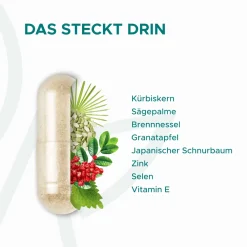 Menvigo® Prosta - Männergesundheit Komplex - reich an Kürbiskern, Sägepalme u.v.m.| Clearance