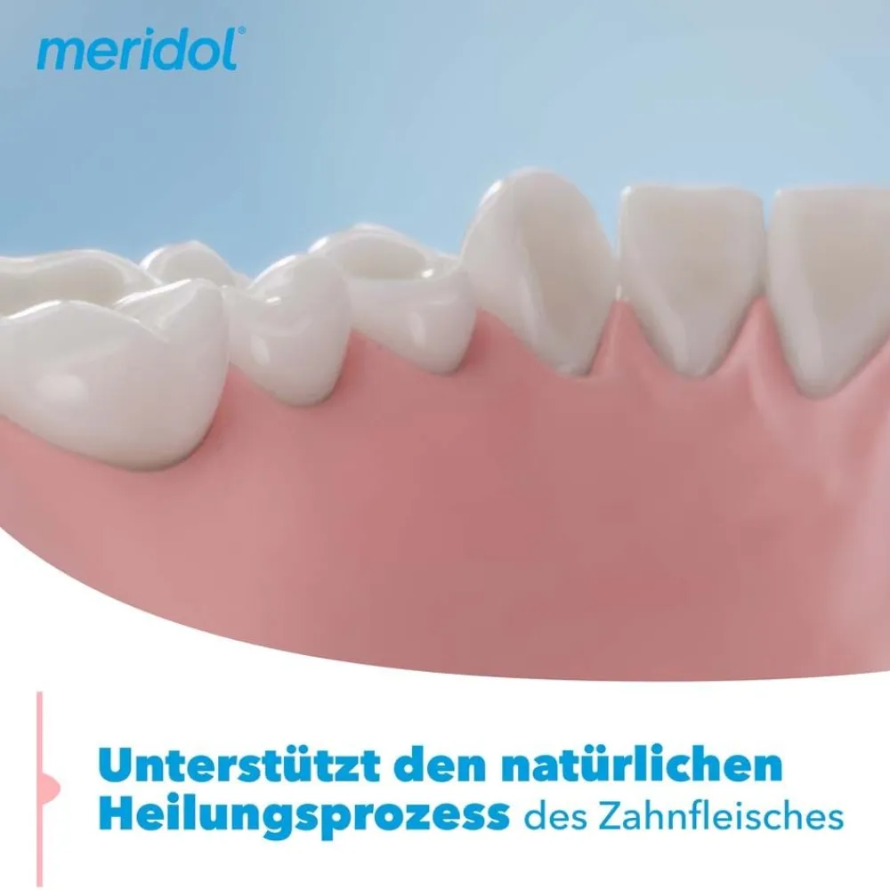 Parodont Expert Zahnpasta bei Parodontitis und Zahnfleischrückgang|Meridol Discount