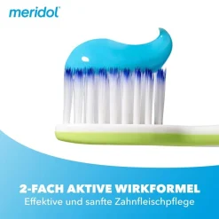 Parodont Expert Zahnpasta bei Parodontitis und Zahnfleischrückgang|Meridol Discount
