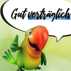 MometaDex® 50 µg/Sprühstoß, Allergie-Nasenspray bei Heuschnupfen| Best