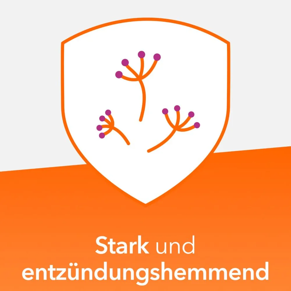 Mometason Nasenspray - bei Heuschnupfen|ratiopharm New