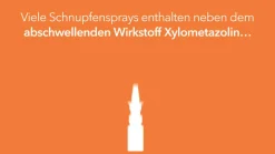 Nasenspray - bei Schnupfen|NasenDuo Discount