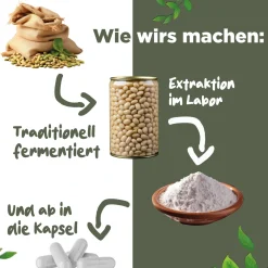 Nattokinase 2000 FU - JAHRESVORRAT - 365 Kapseln je 100mg (20.000 FU/g) - Deutsche Marke - BLATTWERK><noscript><img width=