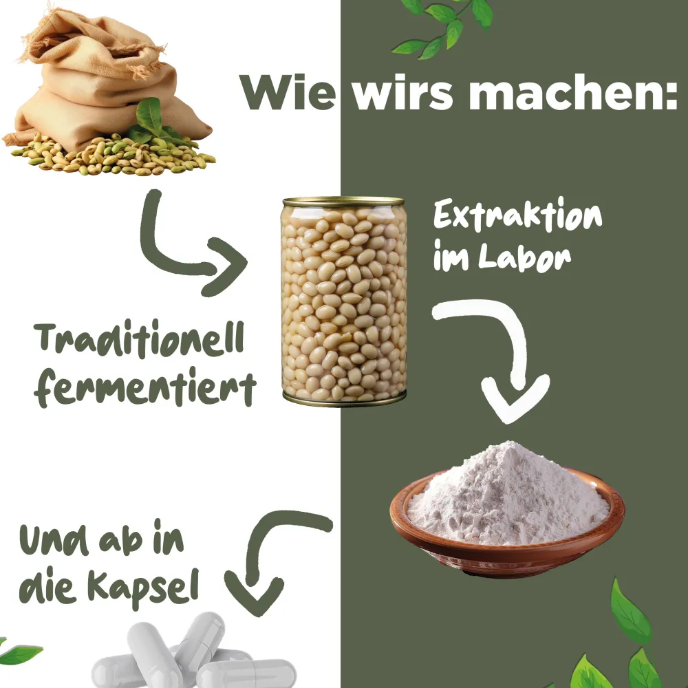 Nattokinase 2000 FU - JAHRESVORRAT - 365 Kapseln je 100mg (20.000 FU/g) - Deutsche Marke - BLATTWERK>