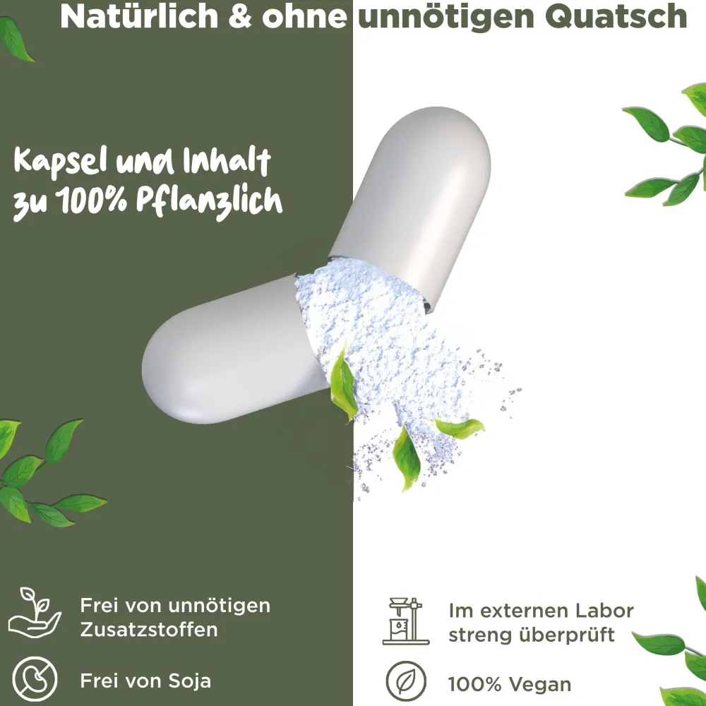 Nattokinase 2000 FU - JAHRESVORRAT - 365 Kapseln je 100mg (20.000 FU/g) - Deutsche Marke - BLATTWERK>