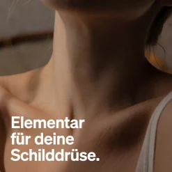 Jod aus Bio-Kelp – 365 Kapseln – 150µg Jod aus Braunalgen – für die Schilddrüse><noscript><img width=