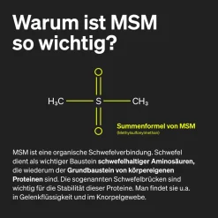 MSM 2000mg + natürliches Vitamin C – 365 Tabletten – Methylsulfonylmethan><noscript><img width=