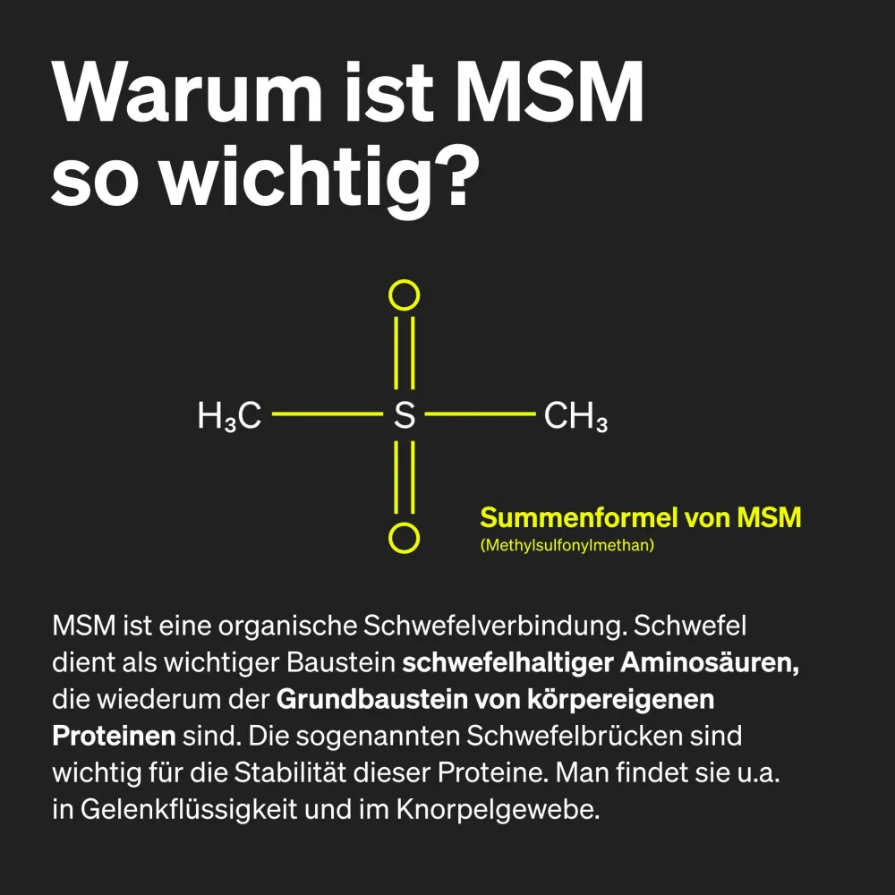 MSM 2000mg + natürliches Vitamin C – 365 Tabletten – Methylsulfonylmethan>natural elements