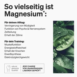 Premium Magnesiumcitrat – 365 Kapseln – 2320mg davon 360mg Magnesium/Tagesdosis|natural elements Hot