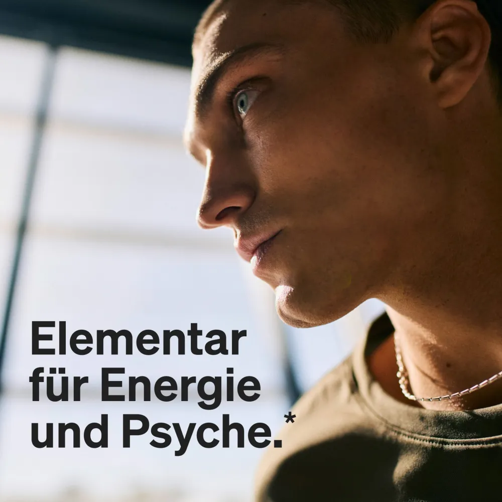 Vitamin B Komplex – 240 Tabletten – mit 8 essenziellen B-Vitaminen & Kofaktoren|natural elements Online