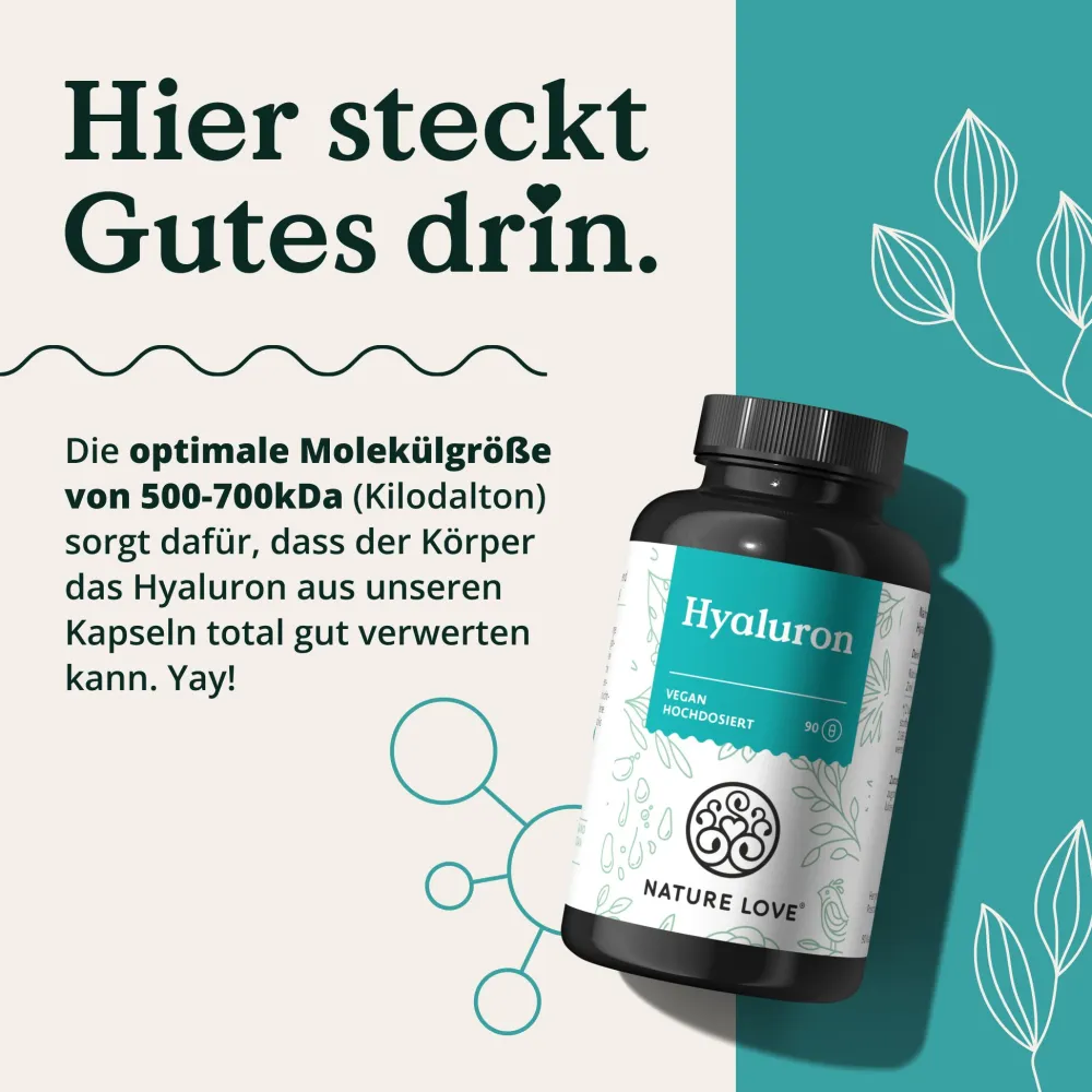 ® Hyaluron Kapseln mit Zink - Hochdosiert mit 500mg - für Haut, Haare & Nägel|NATURE LOVE Best