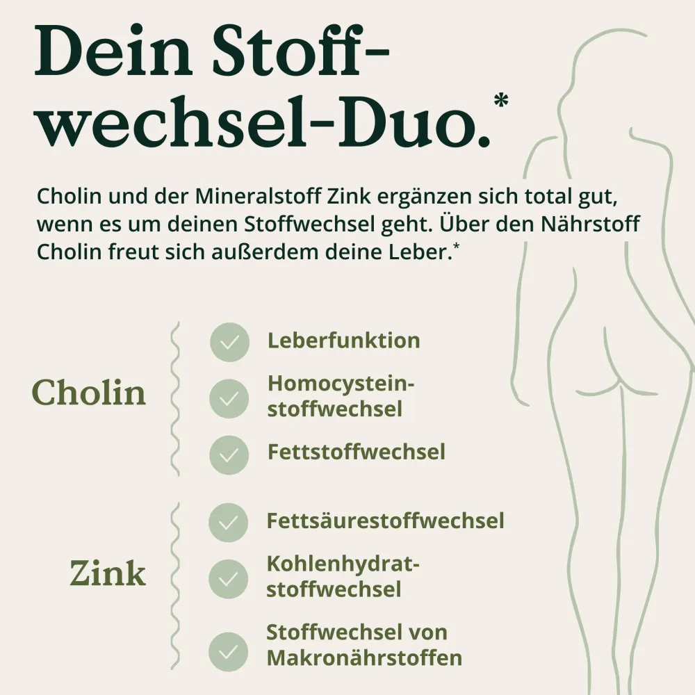 ® Leber Komplex - 120 Kapseln - Mariendistel, Cholin, Artischockenextrakt, Curcuma & Zink|NATURE LOVE Discount