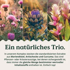 ® Leber Komplex - 120 Kapseln - Mariendistel, Cholin, Artischockenextrakt, Curcuma & Zink|NATURE LOVE Discount