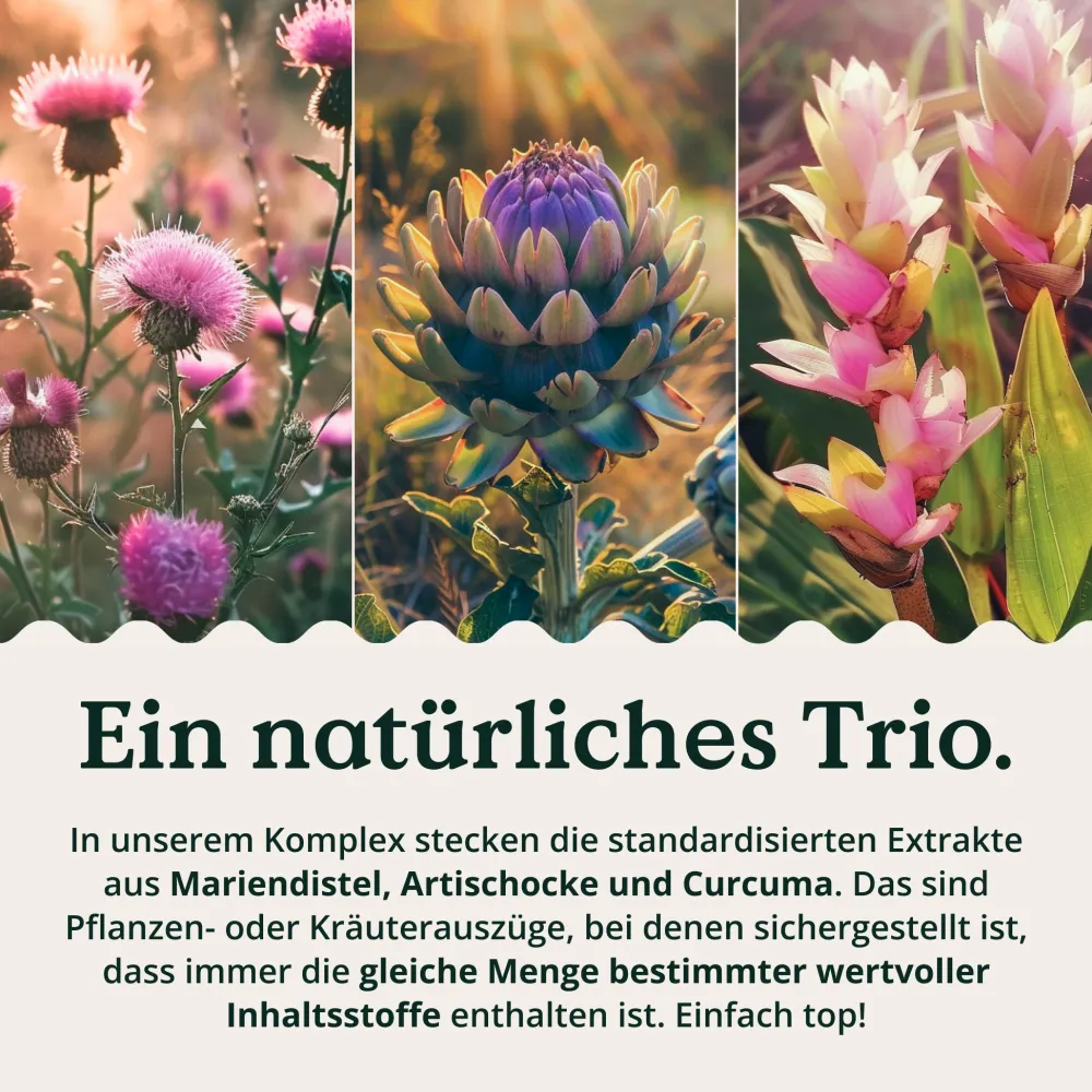 ® Leber Komplex - 120 Kapseln - Mariendistel, Cholin, Artischockenextrakt, Curcuma & Zink|NATURE LOVE Discount