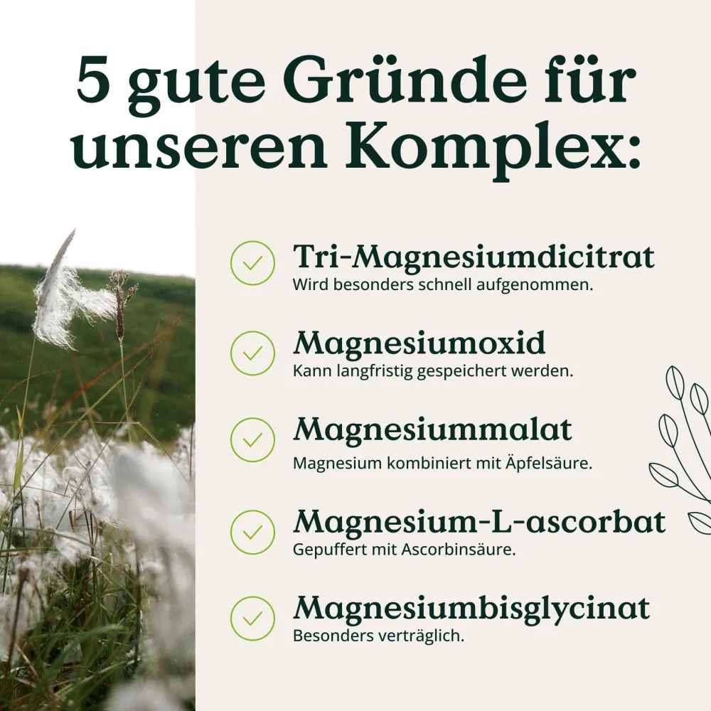 ® Magnesium Komplex - 180 Kapseln - 400mg elementares Magnesium/Tagesdosis>NATURE LOVE Clearance