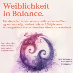 ® Mönchspfeffer Kapseln - 240 Stk - 4:1 Extrakt Original Vitex Agnus Castus 10mg/Kapsel>NATURE LOVE Outlet