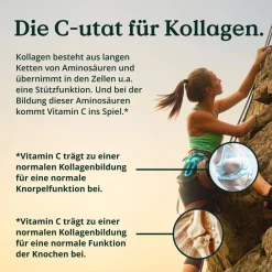 ® MSM 2000mg mit Vitamin C - 365 Tabletten - Kompakteres MSM Pulver als bei Kapseln|NATURE LOVE Clearance