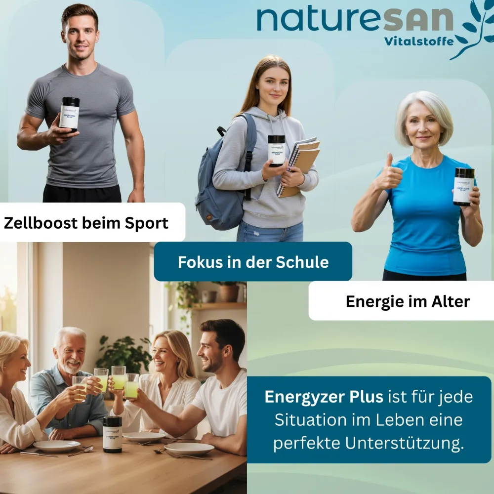 Naturesan Energyzer Plus| Clearance