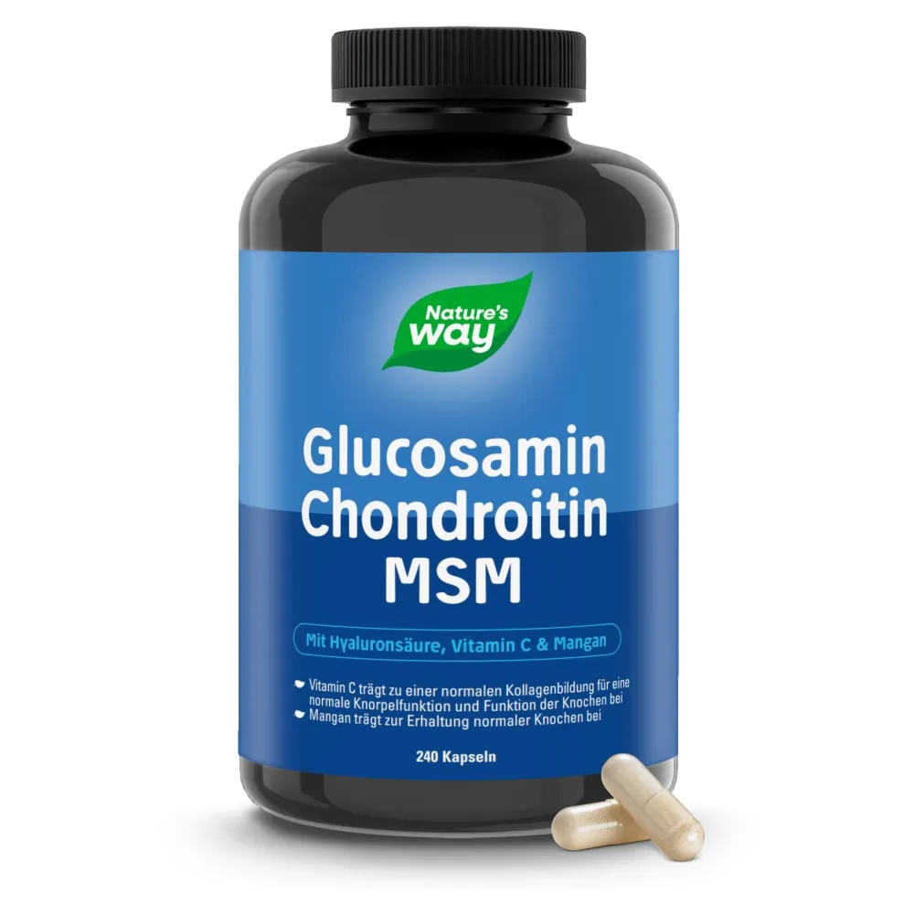 Nature's Way Glucosamin Chondroitin MSM Kapseln| New