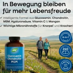 Nature's Way Glucosamin Chondroitin MSM Kapseln| New