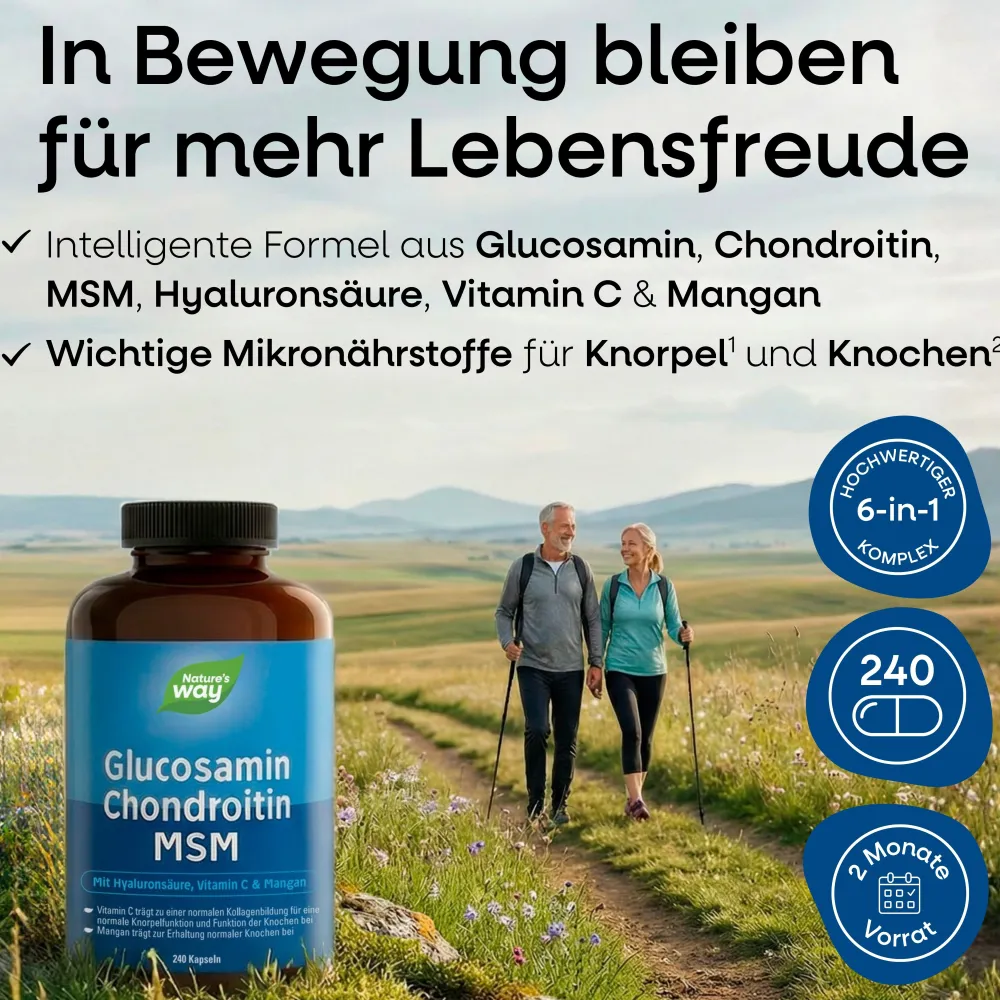 Nature's Way Glucosamin Chondroitin MSM Kapseln| New
