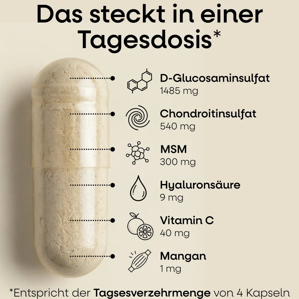 Nature's Way Glucosamin Chondroitin MSM Kapseln| New