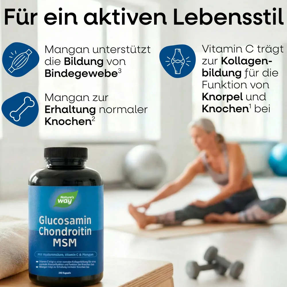Nature's Way Glucosamin Chondroitin MSM Kapseln| New