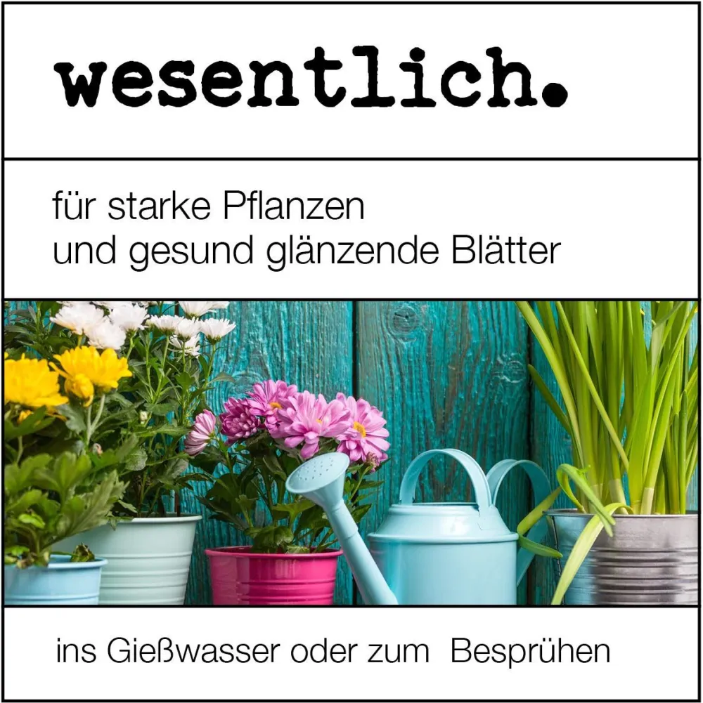 Neemöl mit Emulgator von>wesentlich. Online