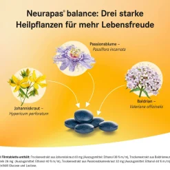 Neurapas® Balance|Neurapas Balance Hot