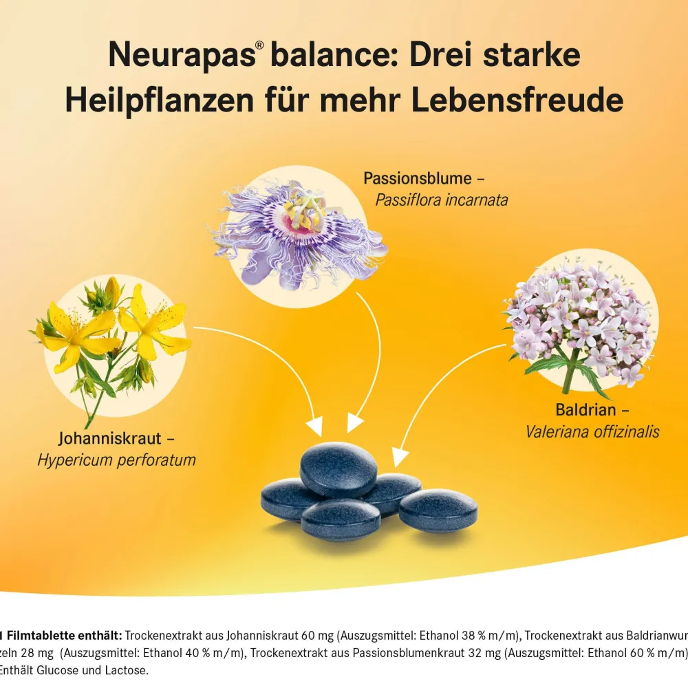 Neurapas® Balance|Neurapas Balance Hot