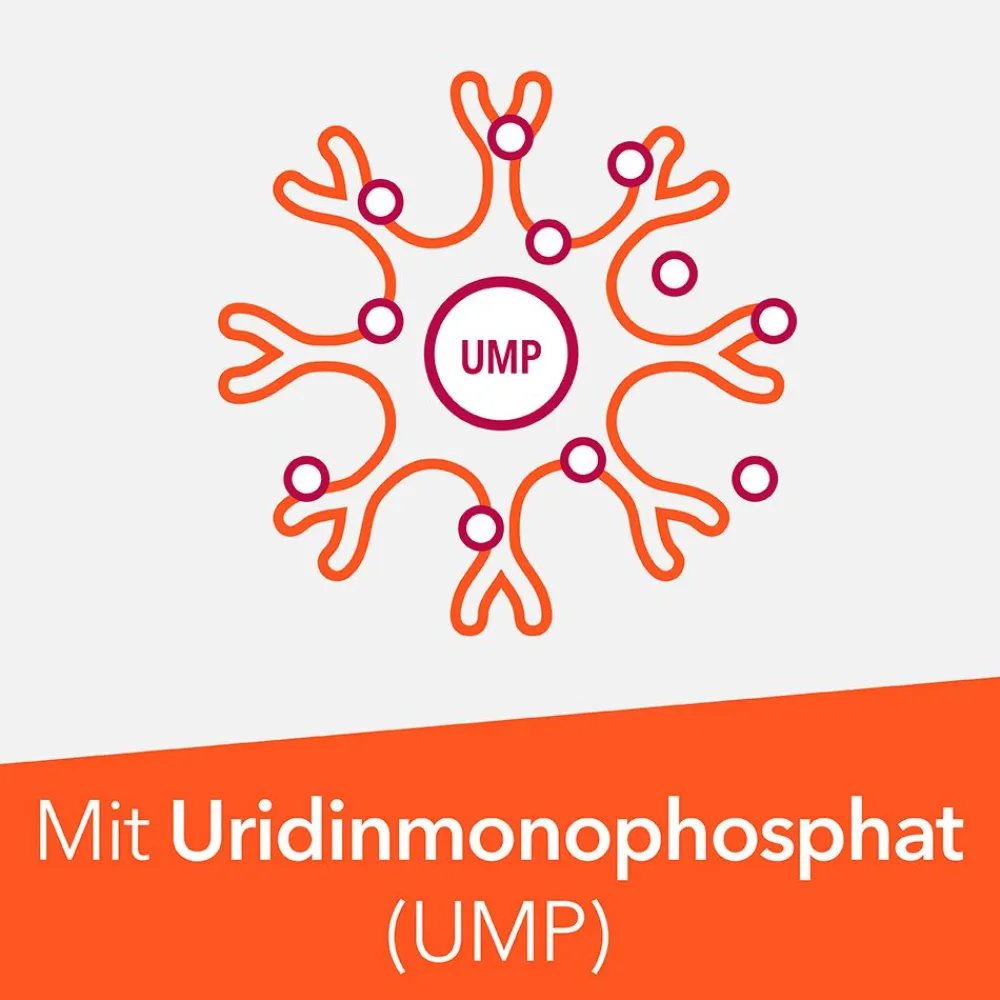 Neuropax- forte mit Uridinmonophosphat (UMP), Vitamin B12 und Folsäure|ratiopharm