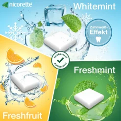 2 mg Nikotinkaugummi freshfruit zum Rauchen aufhören|Nicorette