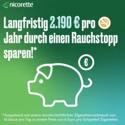2 mg Nikotinkaugummi freshfruit zum Rauchen aufhören|Nicorette