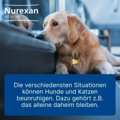 Nurexan ad us. vet.| Outlet
