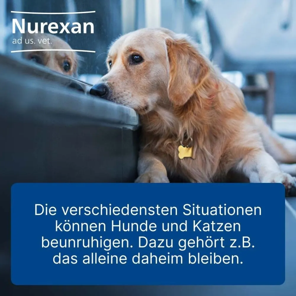 Nurexan ad us. vet.| Outlet