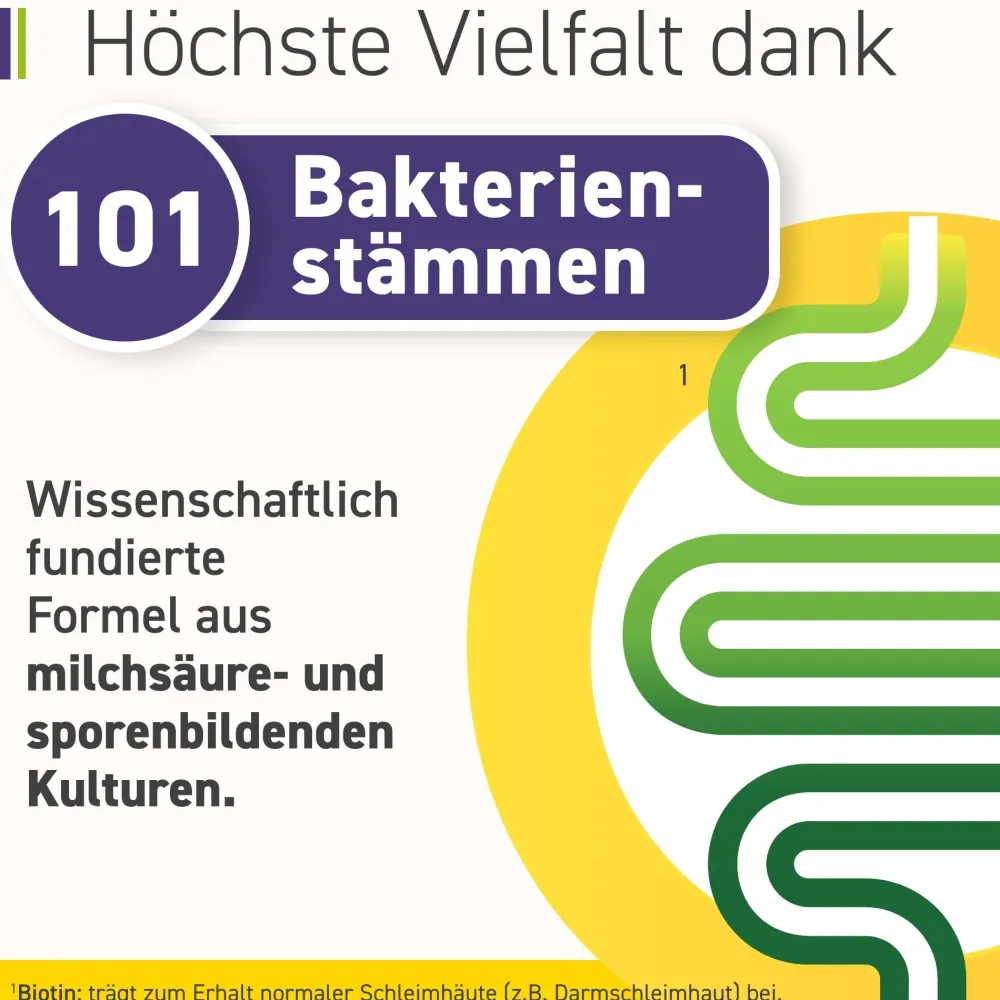 Complete 101 Bakterienstämme – 100 Mrd. KBE>Omniflora Sale