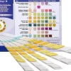 One+Step Urinteststreifen für 10 Indikatoren - Gesundheitstest inkl. Referenzfarbkarte>one-step Clearance
