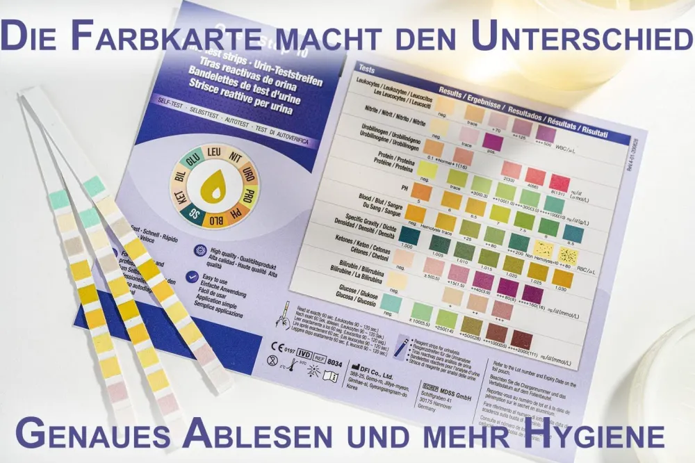 One+Step Urinteststreifen für 10 Indikatoren - Gesundheitstest inkl. Referenzfarbkarte>one-step Clearance