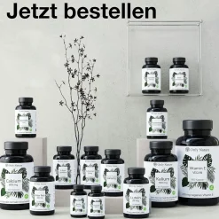 Only Nature® L Glutathion Hochdosiert 500 mg - Immunsystem & Entgifung - reduziertes L-Glutathion| Best
