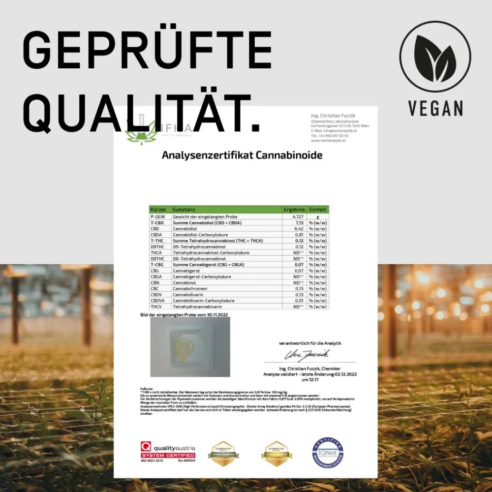 ORGANIC ELEMENTS Vollspektrum CBD Öl 5%| Outlet