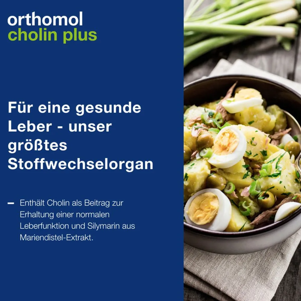 Cholin Plus - zur Erhaltung einer normalen Leberfunktion - mit Silymarin aus Mariendistel-Extrakt|Orthomol Clearance