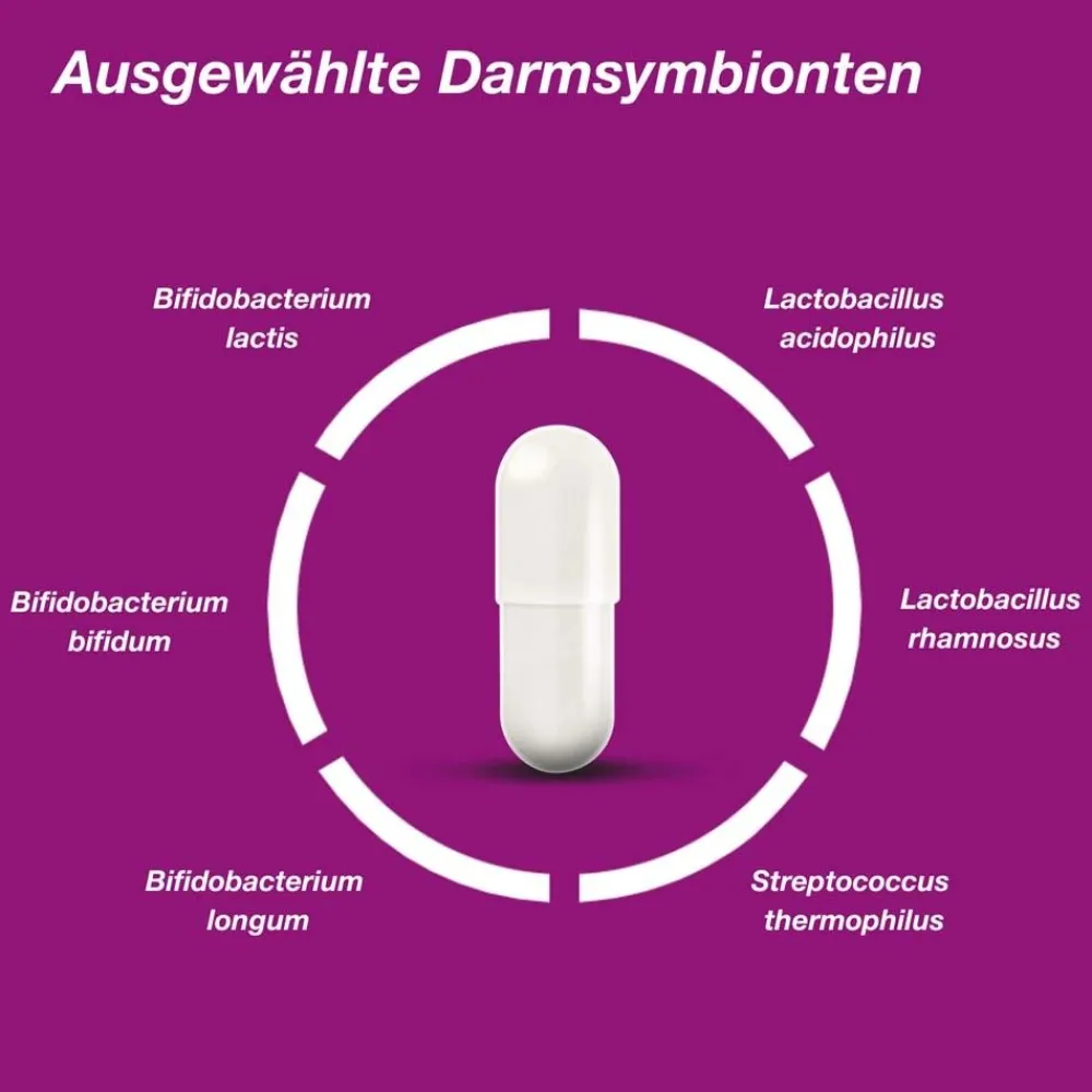 Pro 6 - mit einer Kombination ausgewählter Darmsymbionten und Vitamin C - Kapseln|Orthomol Outlet