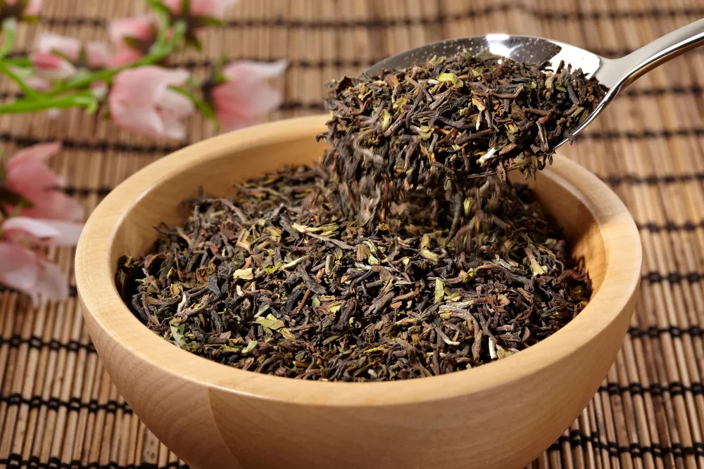 Paulsen Darjeeling First Flush FTGFOP1, Ernte 2024 - Plantage Jungpana-schwarzer Tee> Hot