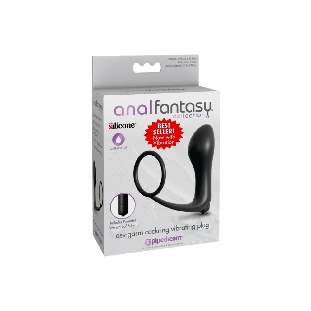 Penisring „Vibrating Plug“ mit batteriebetriebenem Vibro-Analplug| Vibration| analfantasy collection> Outlet