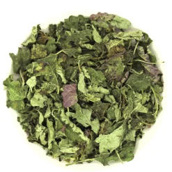 PEPPERMINTMAN Fränkische Zitronenmelisse, Bio| Discount