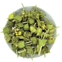 PEPPERMINTMAN Griechischer Bergtee, Bio| Best