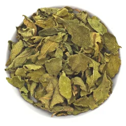 PEPPERMINTMAN Zistrose| Discount