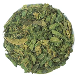 PEPPERMINTMAN Zitronenverbene, Bio| Discount