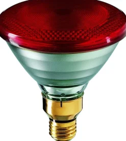 Philips Ersatz Infrarotlampe> Hot