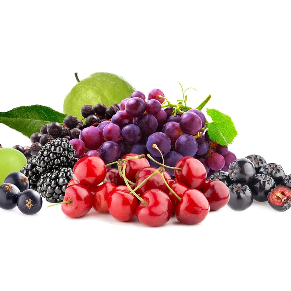 phyto vitamins Eisen Vital Complex> Hot